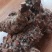 云南野生土茯苓，鲜货红肉块茎基地直供量大从优