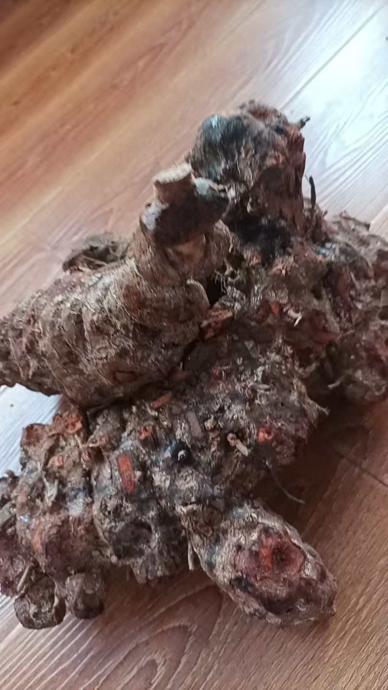 云南野生土茯苓，鲜货红肉块茎基地直供量大从优