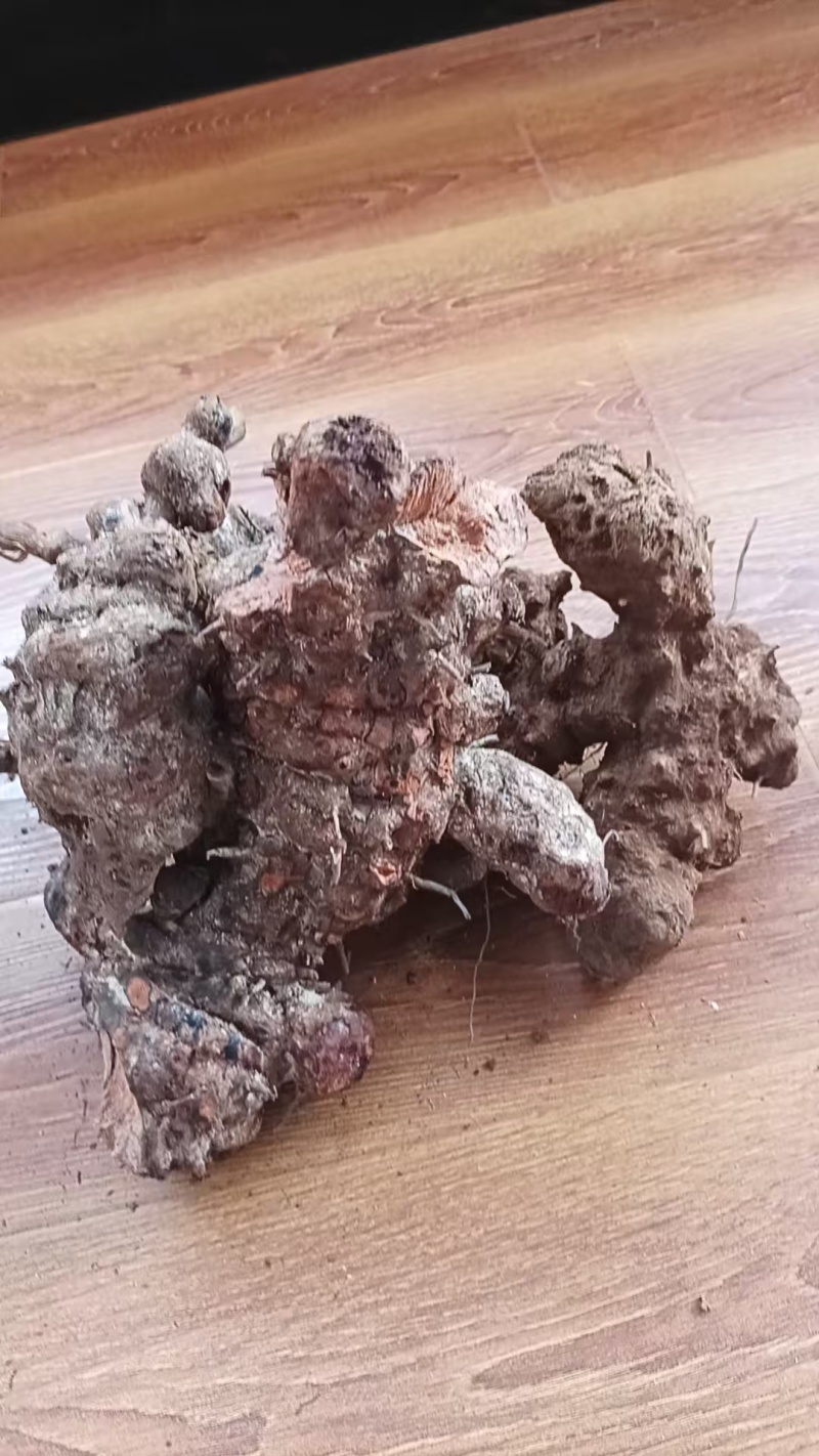云南野生土茯苓，鲜货红肉块茎基地直供量大从优