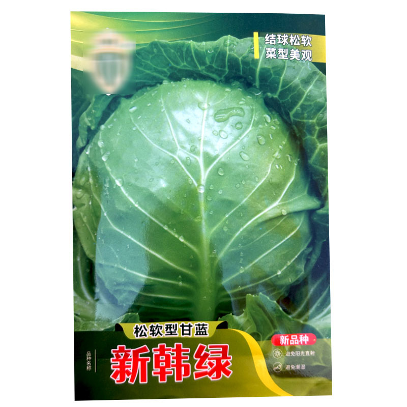 新韩绿松软型甘蓝种子黄芯口感好结球松软菜型美观