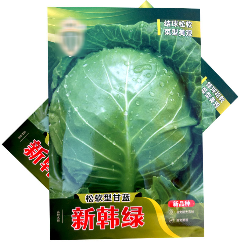 新韩绿松软型甘蓝种子黄芯口感好结球松软菜型美观