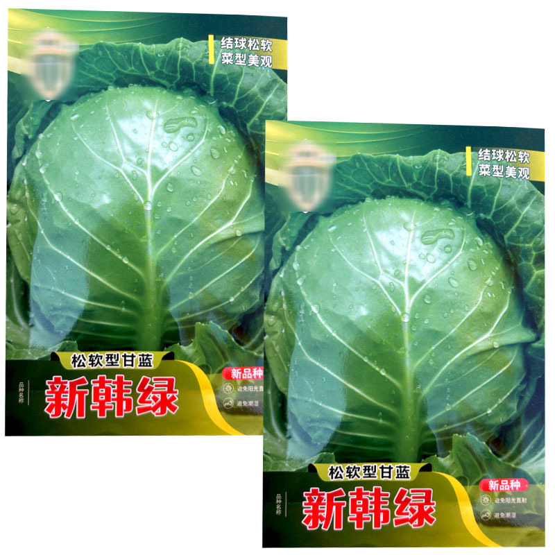新韩绿松软型甘蓝种子黄芯口感好结球松软菜型美观