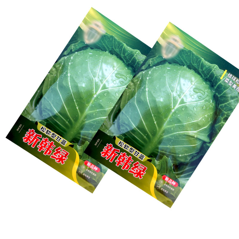新韩绿松软型甘蓝种子黄芯口感好结球松软菜型美观