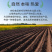 有机鹰嘴豆低gi高蛋白质健身餐东北粗粮五谷杂粮山姆批发代
