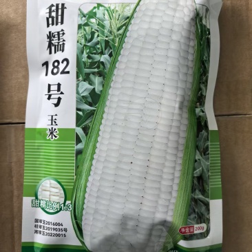 甜糯182号白玉米种子高产大棒甜加糯1:3基地白糯玉米种