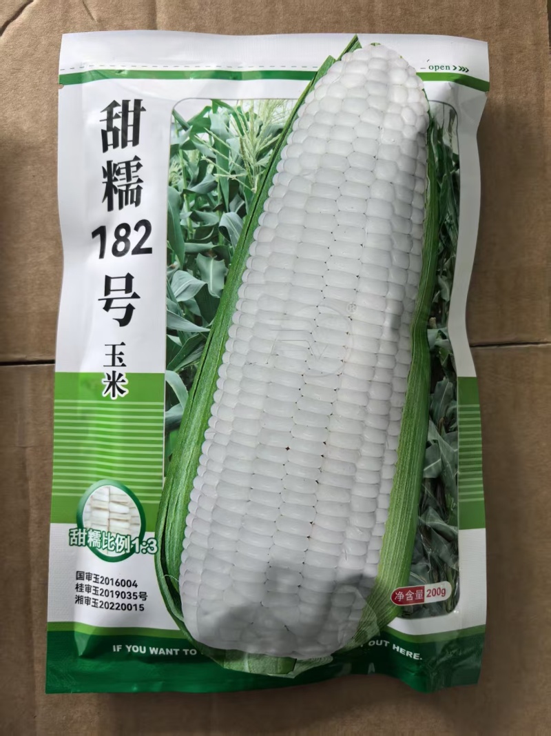 甜糯182号白玉米种子高产大棒甜加糯1:3基地白糯玉米种