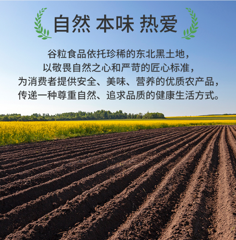 有机芝麻有机熟芝麻黑芝麻低温烘培罐装五谷杂粮批发代发