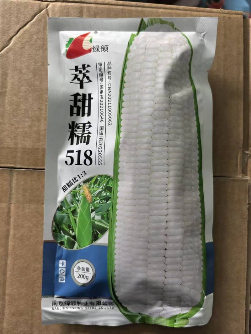 萃甜糯518白玉米种子高产糯玉米种子早熟甜加糯大棒高产