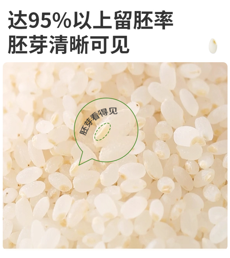 有机胚芽米东北大米罐装新米五常大米主食香软糯易煮批发代发