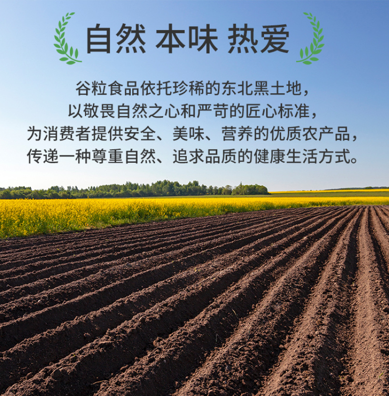 有机胚芽米东北大米罐装新米五常大米主食香软糯易煮批发代发