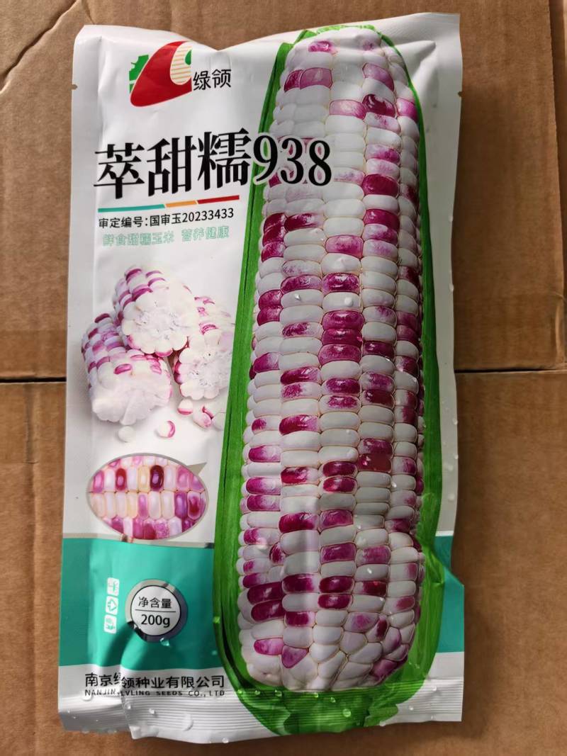 萃甜糯938彩甜糯玉米种子甜加糯玉米种子大棒高产国审