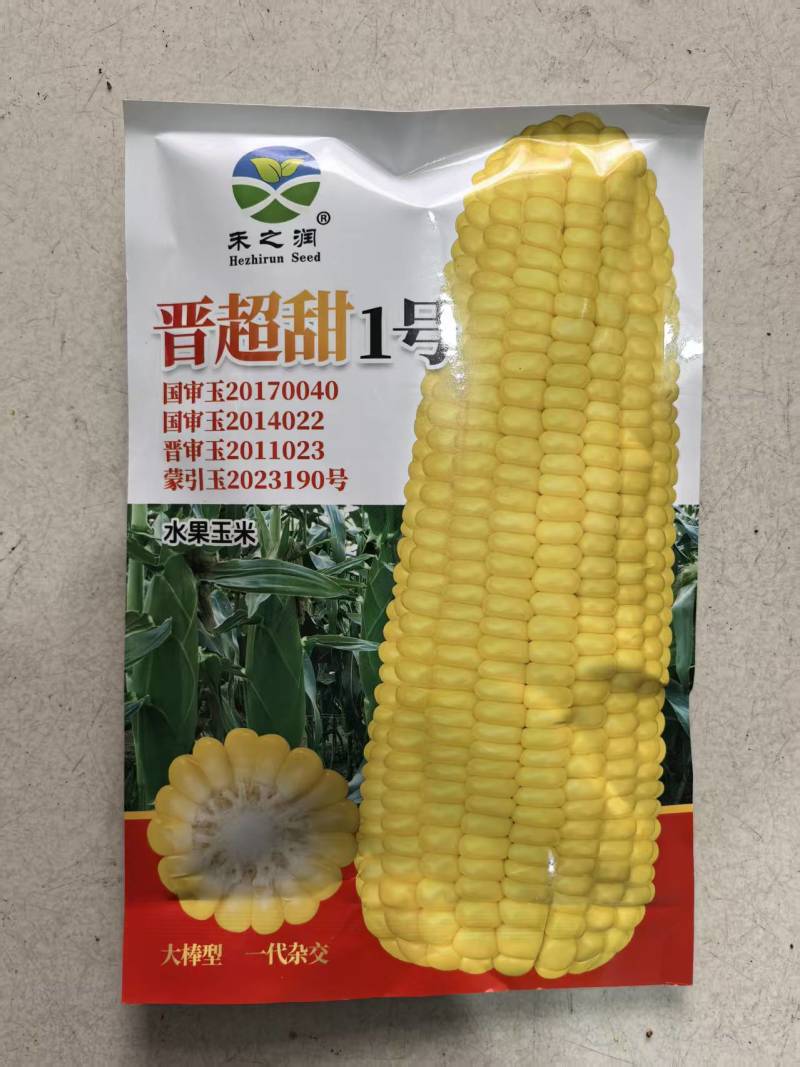 晋超甜1号玉米种子高产水果玉米种子大棒型基地