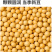 有机黄豆东北黄豆大黄豆大豆非转基因新豆五谷杂粮批发代发定