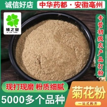 菊花散装批发零售粉质细腻菊花免费磨粉承接大货农产品代发菊