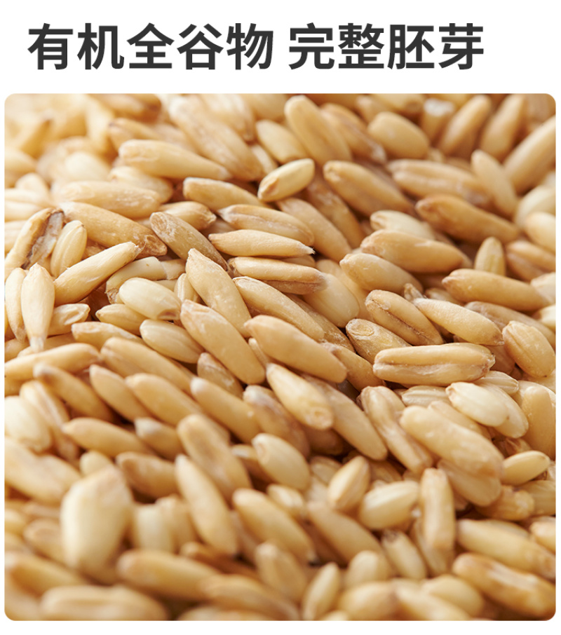 有机燕麦米东北燕麦仁燕麦粒新米罐装粗粮五谷杂粮批发代发定