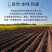 有机燕麦米东北燕麦仁燕麦粒新米罐装粗粮五谷杂粮批发代发定
