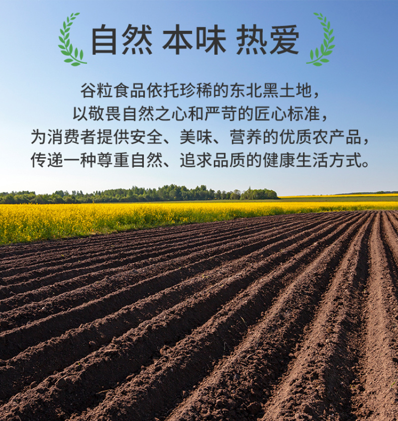 有机燕麦米东北燕麦仁燕麦粒新米罐装粗粮五谷杂粮批发代发定