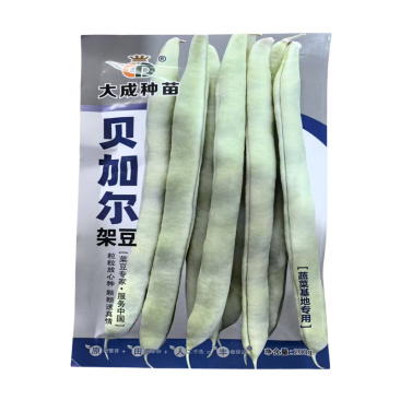 贝加尔架豆种子条形顺直白芸豆种子高产春秋200克