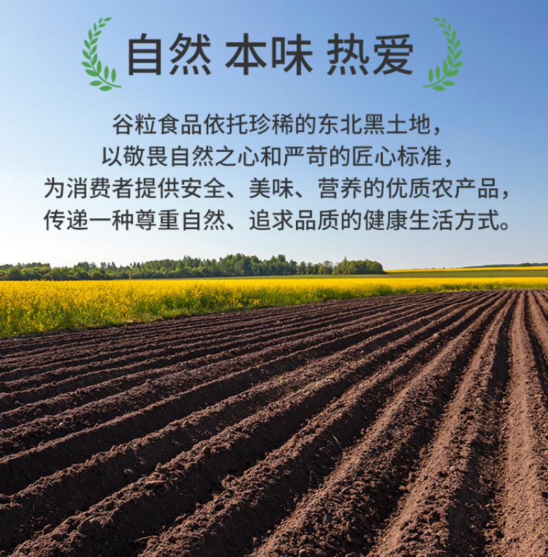 有机绿豆东北绿豆明绿豆油绿豆新豆山姆粗粮五谷杂粮批发代工