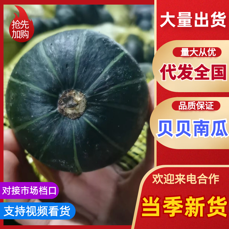 精品贝贝口感瓜/电商直播/社区团购/市场商超/一件