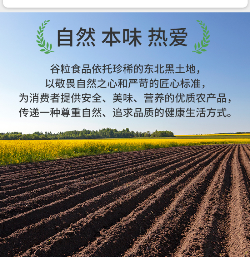 有机黑豆东北绿心黑豆青仁豆小黑豆新豆粗粮杂粮山姆批发代发
