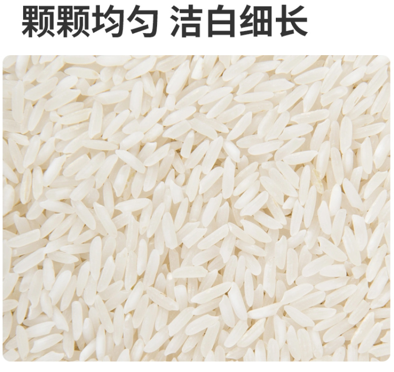 有机大米东北大米五常大米罐装大米新米香米软糯山姆批发代发