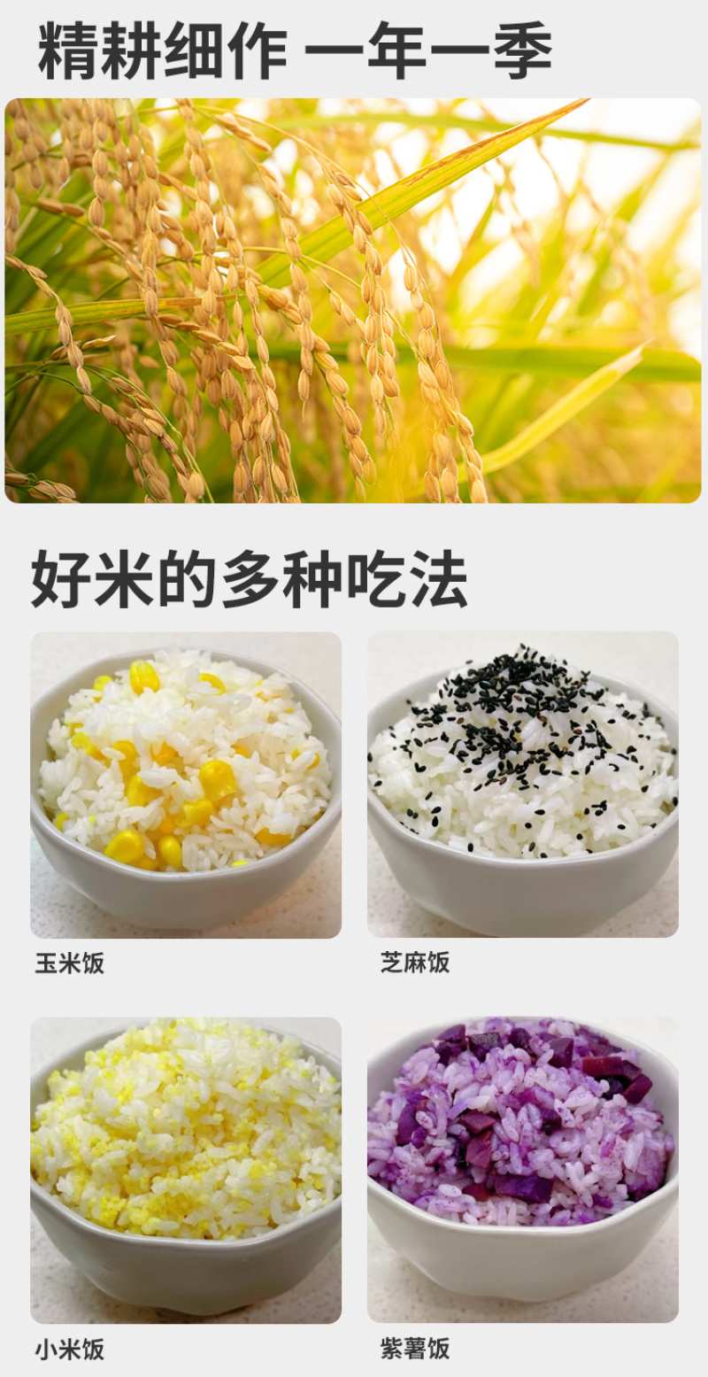 有机大米东北大米五常大米罐装大米新米香米软糯山姆批发代发