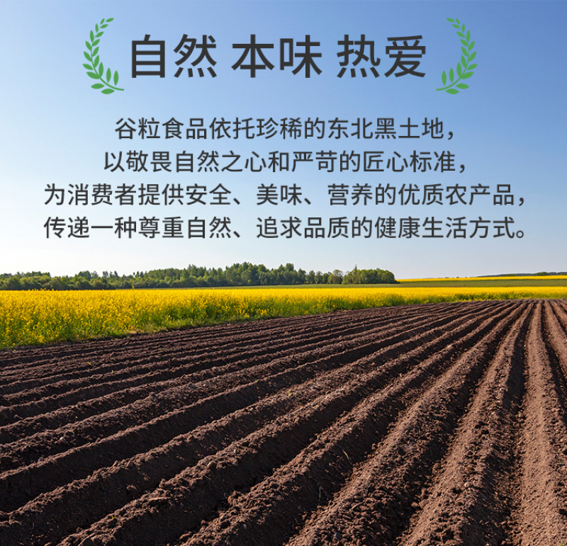有机大米东北大米五常大米罐装大米新米香米软糯山姆批发代发