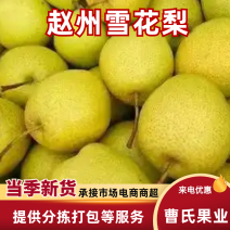 河北赵州雪花梨/箱装筐装都有，电商团购批发市场