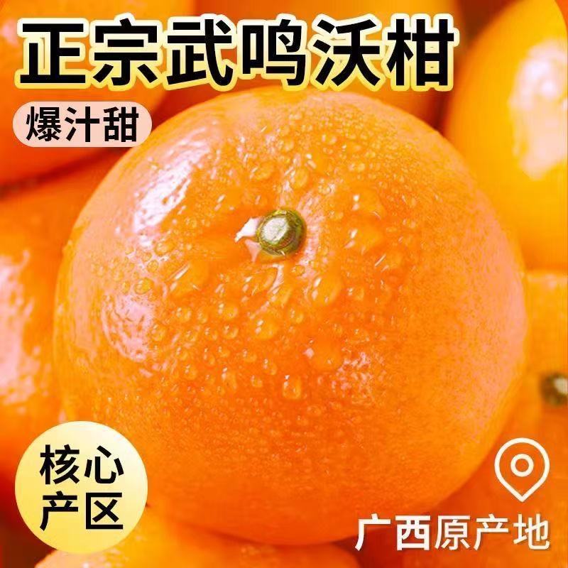 精品沃柑广西发货对接电商出口品质有保证协助装车发货进店联系