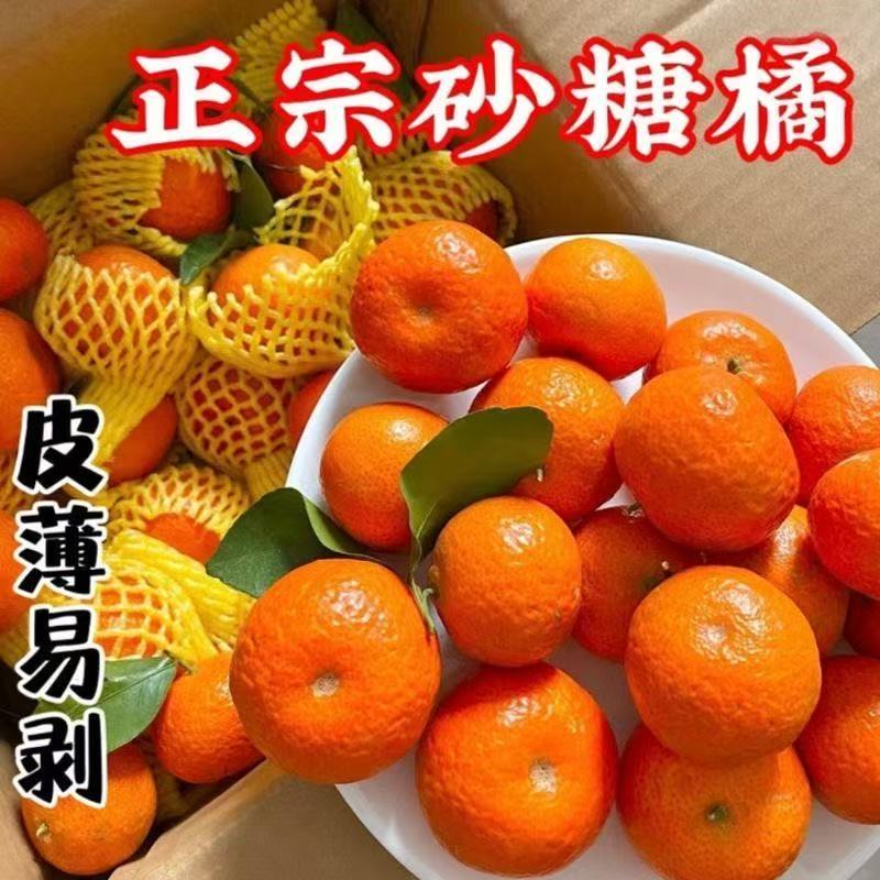 优选广西砂糖橘现摘现发团队协作大量发货发出口电商市场