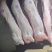 【优质猪肉】白条猪，诚信经营以质量求生存、以信誉求发展