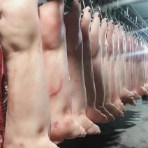 【优质猪肉】白条猪，诚信经营以质量求生存、以信誉求发展