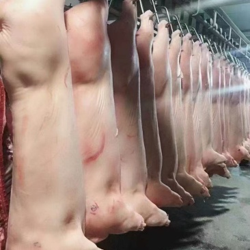 【优质猪肉】白条猪，诚信经营以质量求生存、以信誉求发展