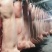 【优质猪肉】白条猪，诚信经营以质量求生存、以信誉求发展