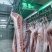 【优质猪肉】白条猪，诚信经营以质量求生存、以信誉求发展