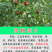 【包运费】湖南茶籽饼茶粕茶枯粉茶麸水产清塘种植杀虫有机肥