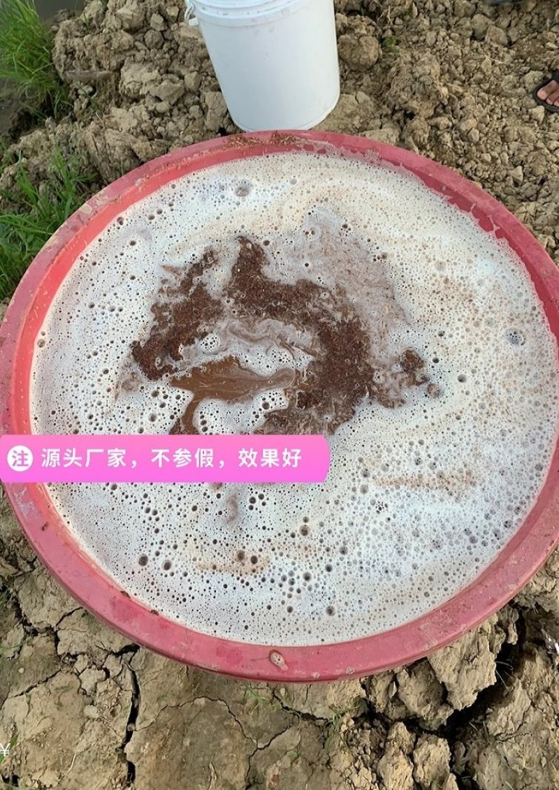 【包运费】湖南茶籽饼茶粕茶枯粉茶麸水产清塘种植杀虫有机肥