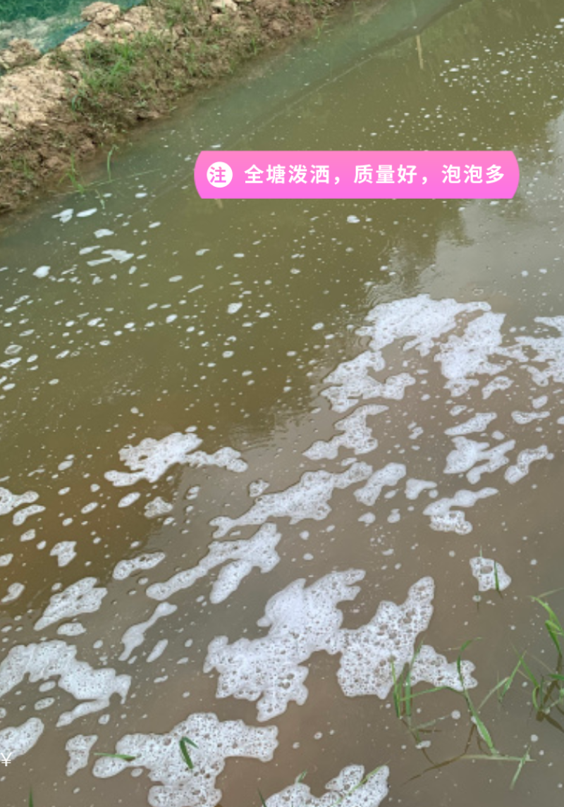 【包运费】湖南茶籽饼茶粕茶枯粉茶麸水产清塘种植杀虫有机肥