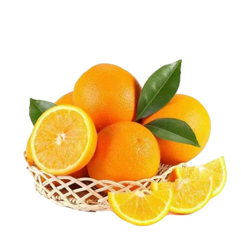 【精选】正宗九月红脐橙湖北果冻橙批发一件代发量大从优