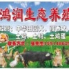 张礼汉的一亩田店铺