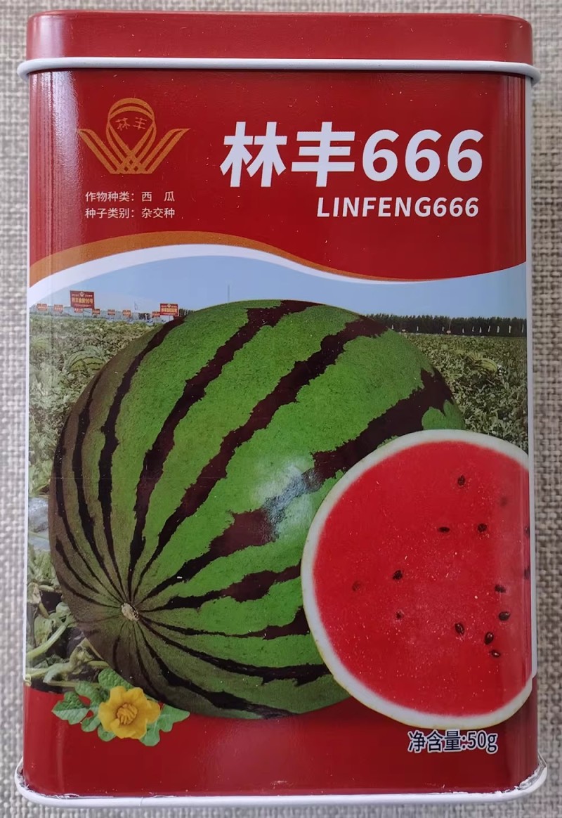 林丰666林丰999西瓜种子深绿花皮高圆大红瓤西瓜种籽