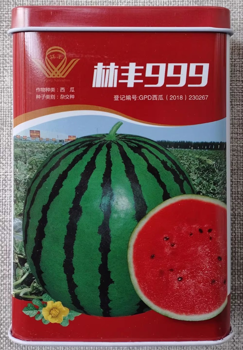 林丰666林丰999西瓜种子深绿花皮高圆大红瓤西瓜种籽