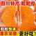 【实力推荐】四川春见耙耙耙柑支持一件代发对接全国电商