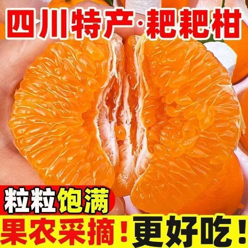 【实力推荐】四川春见耙耙耙柑支持一件代发对接全国电商