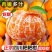 【柑桔】四川春见耙耙柑支持一件代发可视频看货对接全国