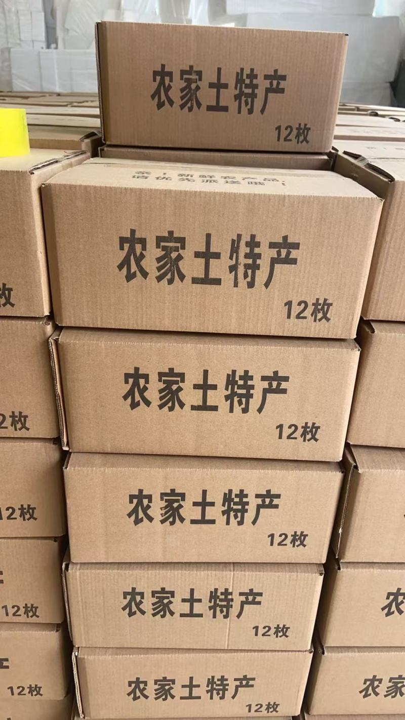 农村特产大鹅蛋一手货源对接电商市场商超可视频看货