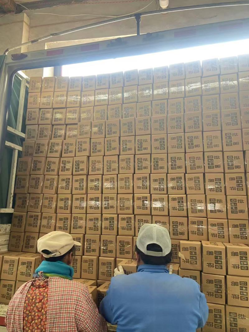 农村特产大鹅蛋一手货源对接电商市场商超可视频看货