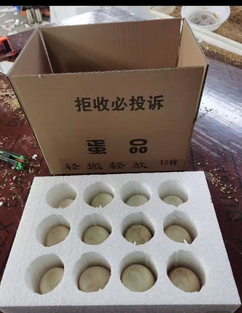 农村特产大鹅蛋一手货源对接电商市场商超可视频看货