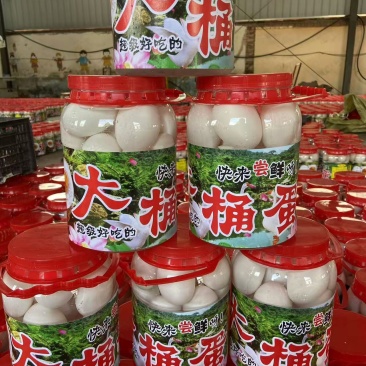 农村特产大鹅蛋一手货源对接电商市场商超可视频看货